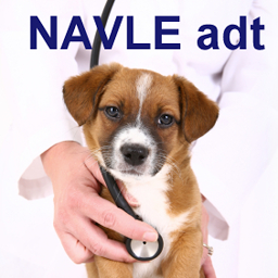 Icon image NAVLE - Anesthesia, Drugs, Tox