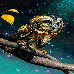 Icon image Golden Owl Live Wallpaper