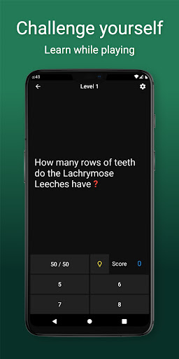 Unfortunate Events Trivia Screen 3