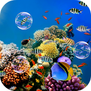 Top 30 Personalization Apps Like Colorful Tropical Fishes - Best Alternatives