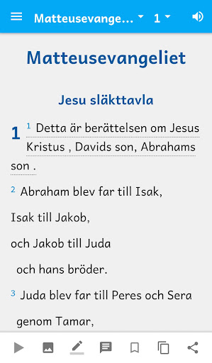 Swedish SSF Bible Screen 3