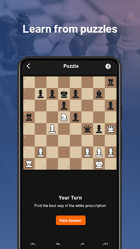Chessnut Screen 3