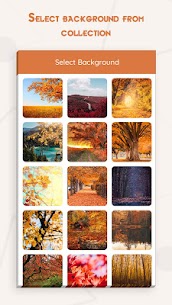 Autumn Photo Editor 2