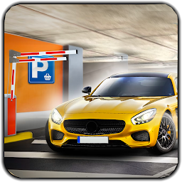Icon image Car Parking Online Simulator