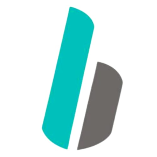 BRAINWARE MULTISOLUTIONS logo