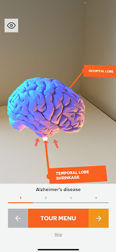 The Brain Tour Screen 3