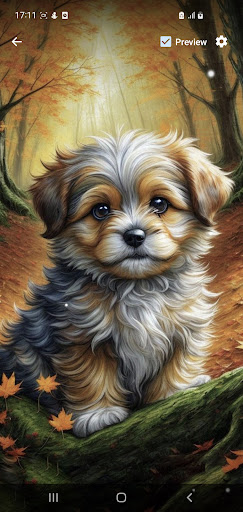 Android application Cute Puppy Wallpaper Gallery screenshort