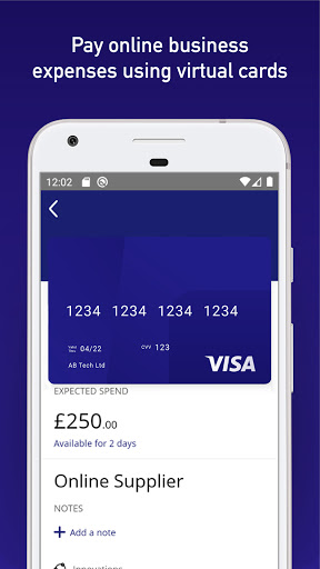 Visa Commercial Pay Screen 2
