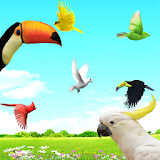 Sky Birds Live Wallpaper icon