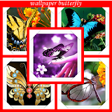 Wallpaper Butterflies icon