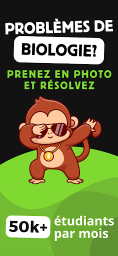 Aperçu de l'application