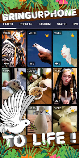 dove wallpaper Screen 2