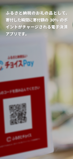 ふるさと納税払い チョイスPay Screen 2