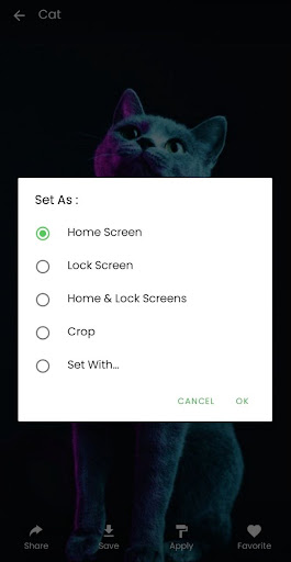 Flixowall Screen 2