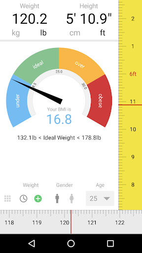 Screenshot of BMI Calculator
