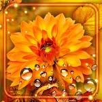 Cover Image of Tải xuống Autumn Flowers Motives  APK