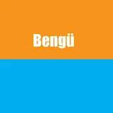Bengü Top Song icon