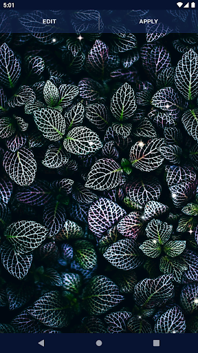 HD Live Wallpaper for OPPO