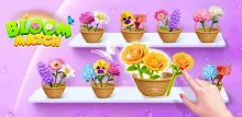 Bloom Match APK