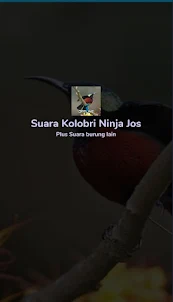 Suara Kolibri Ninja Jos