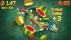 screenshot of Fruit Ninja®