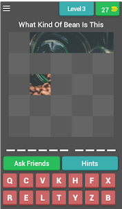 Guess Picture