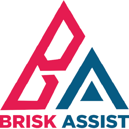 Brisk Assist logo