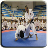 The Shorinji Kempo Martial Technique icon