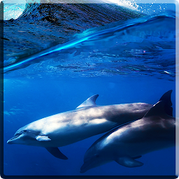 Icon image Dolphins +Sound Live Wallpaper