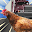 🇺🇸Chicken Royale: Chicken Ch Download on Windows