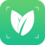 Cover Image of Download Plant Identify  APK