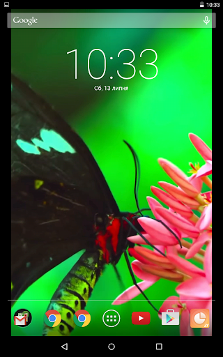 Cute Butterfly Video Live Wall