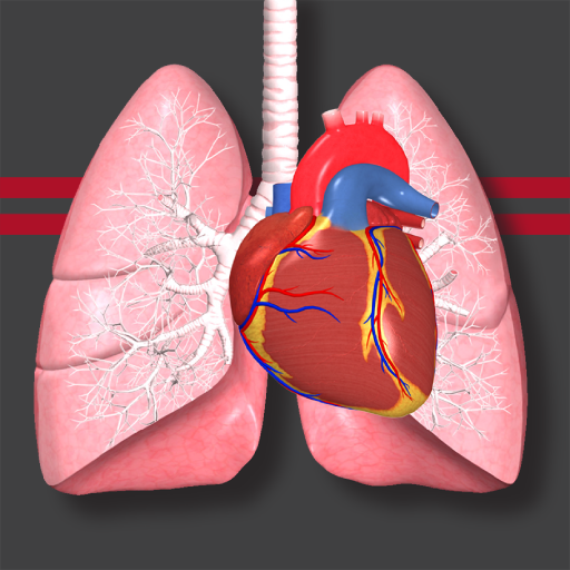 STS Cardiothoracic Surgery logo