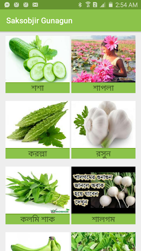 শাক-সবজির গুনাগুন ও উপকারিতা