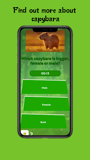 Capybara Quiz Screen 2