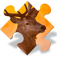 Animals Jigsaw Puzzles Free
