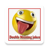 Double Meaning Hindi SMS icon