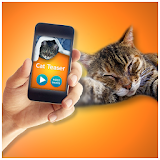 Kitten Teaser Simulator icon