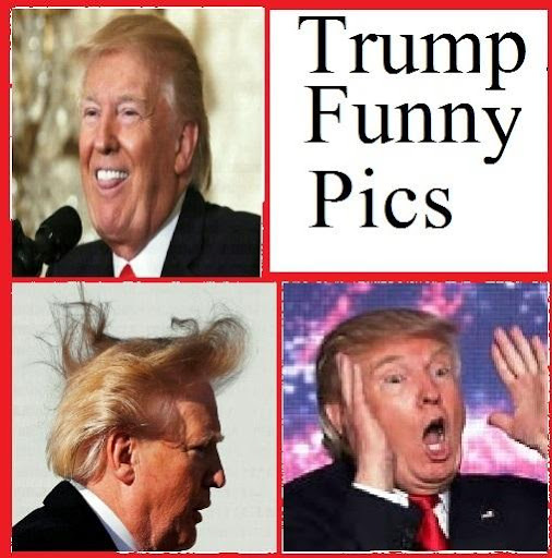 Donald Trump Funny Pics