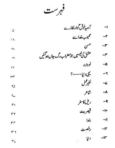 Mirza Ghalib Shayari Urdu Book Screen 2