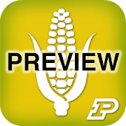 Corn Field Scout Preview