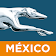 Greyhound México icon