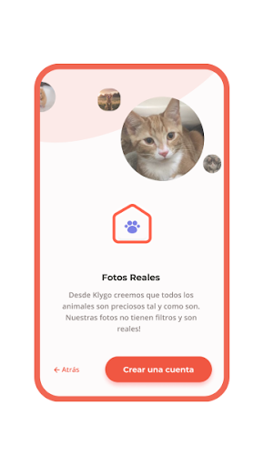 KLYGO - Adopta perros y gatos screenshot