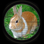 Cover Image of Descargar Rabbit Hunting 3D  APK