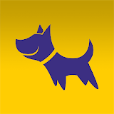 Doggy Time: Dog/Puppy Training icon
