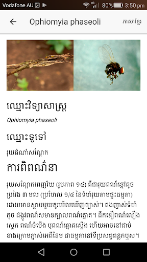 Pest ID Screen 2