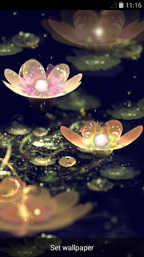 Android application Lotus Lantern Live Wallpaper screenshort