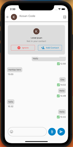 Bizchat Screen 2