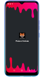 Photos of Animals & wallpapers 1.5 APK + Mod (Free purchase) for Android