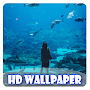 aquarium HD Live Wallpaper